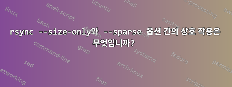 rsync --size-only와 --sparse 옵션 간의 상호 작용은 무엇입니까?