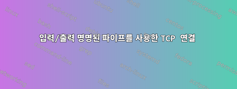 입력/출력 명명된 파이프를 사용한 TCP 연결