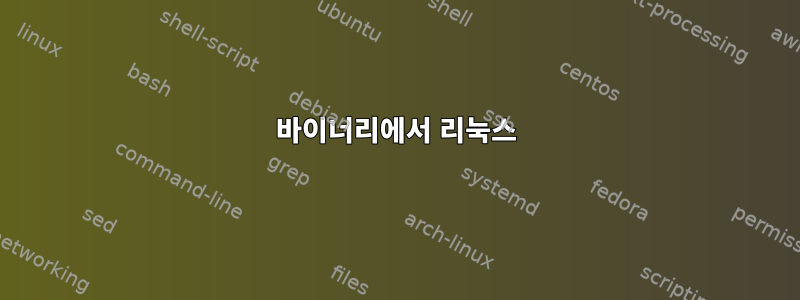 바이너리에서 리눅스