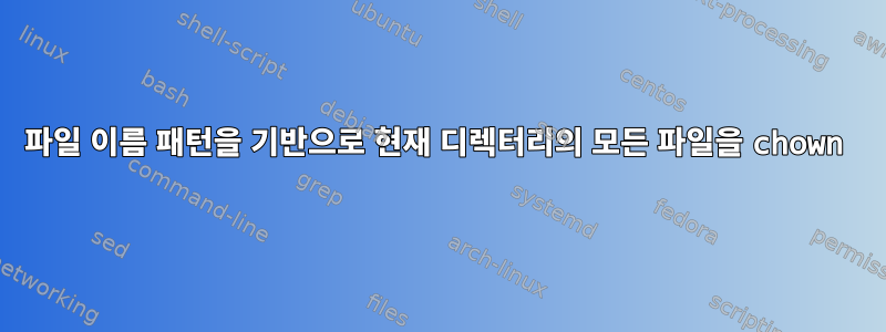 파일 이름 패턴을 기반으로 현재 디렉터리의 모든 파일을 chown