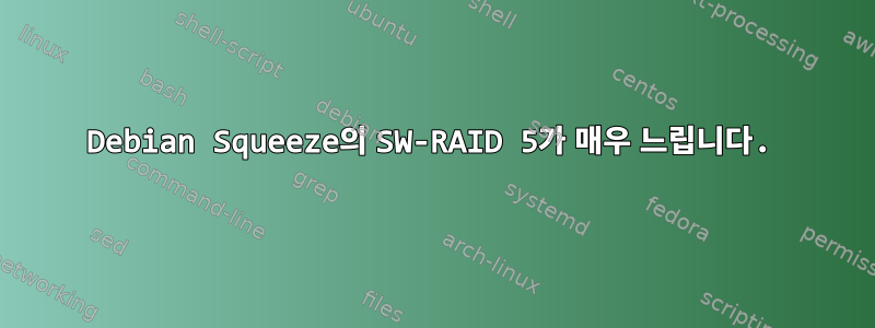 Debian Squeeze의 SW-RAID 5가 매우 느립니다.