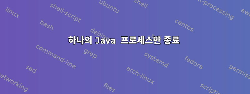 하나의 Java 프로세스만 종료