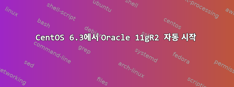 CentOS 6.3에서 Oracle 11gR2 자동 시작