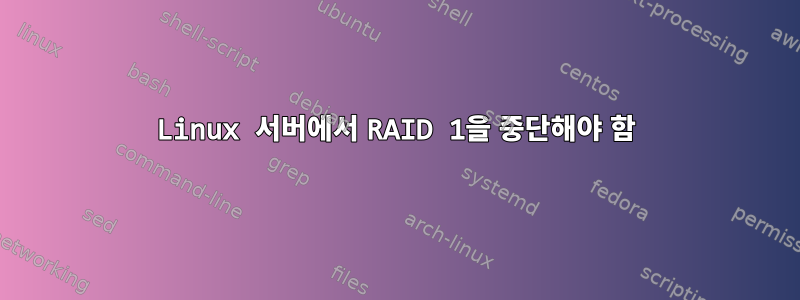 Linux 서버에서 RAID 1을 중단해야 함