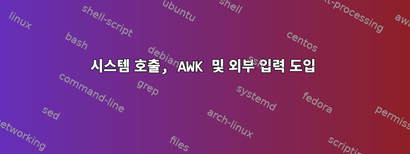 시스템 호출, AWK 및 외부 입력 도입