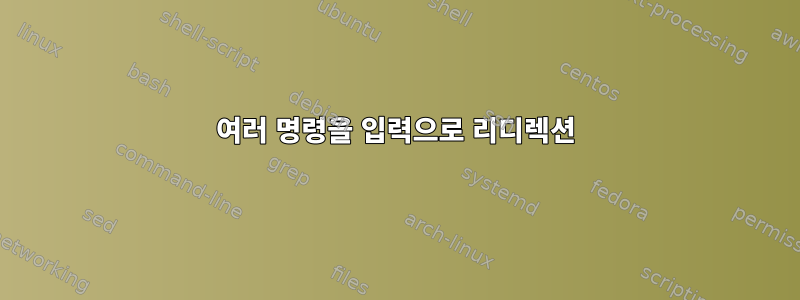 여러 명령을 입력으로 리디렉션