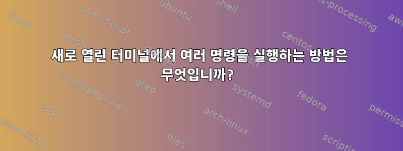 새로 열린 터미널에서 여러 명령을 실행하는 방법은 무엇입니까?