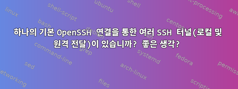 하나의 기본 OpenSSH 연결을 통한 여러 SSH 터널(로컬 및 원격 전달)이 있습니까? 좋은 생각?