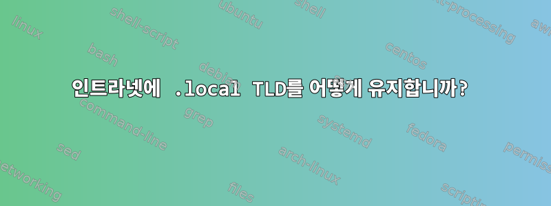 인트라넷에 .local TLD를 어떻게 유지합니까?