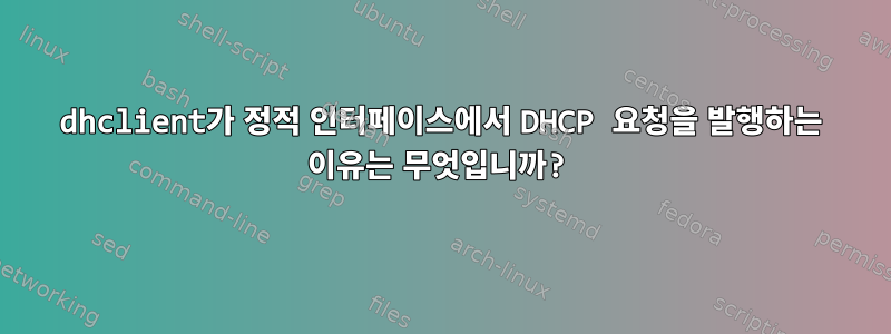 dhclient가 정적 인터페이스에서 DHCP 요청을 발행하는 이유는 무엇입니까?