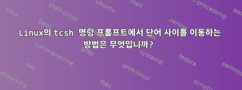 Linux의 tcsh 명령 프롬프트에서 단어 사이를 이동하는 방법은 무엇입니까?