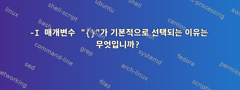 -I 매개변수 "{}"가 기본적으로 선택되는 이유는 무엇입니까?