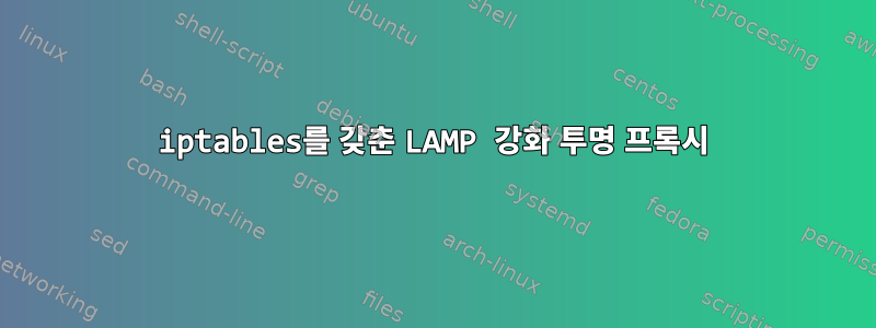 iptables를 갖춘 LAMP 강화 투명 프록시