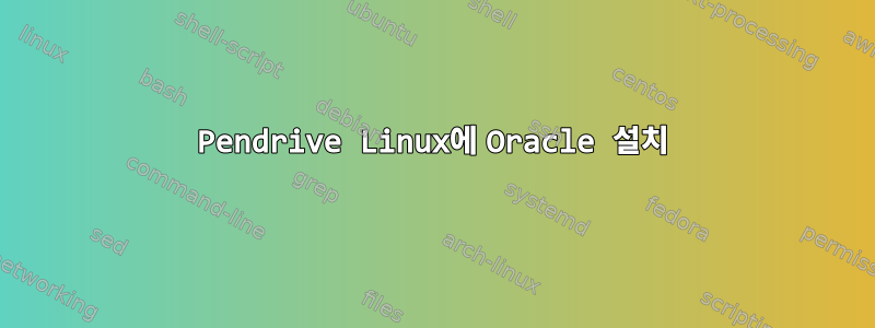 Pendrive Linux에 Oracle 설치