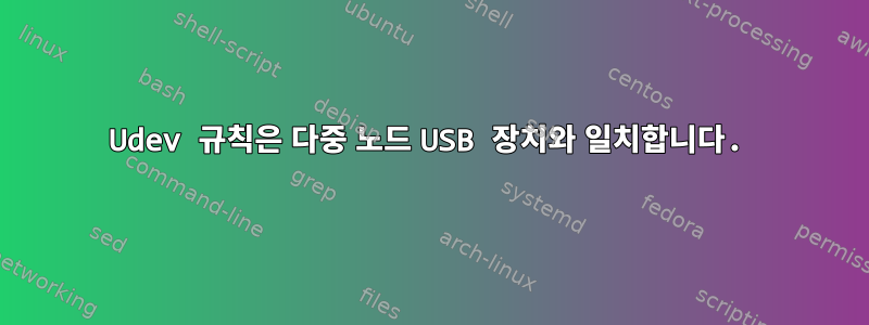 Udev 규칙은 다중 노드 USB 장치와 일치합니다.