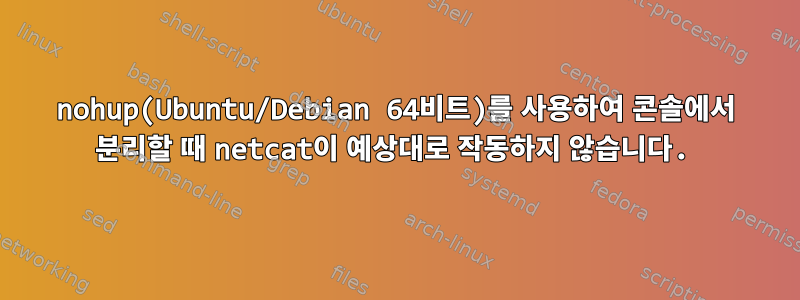 nohup(Ubuntu/Debian 64비트)를 사용하여 콘솔에서 분리할 때 netcat이 예상대로 작동하지 않습니다.