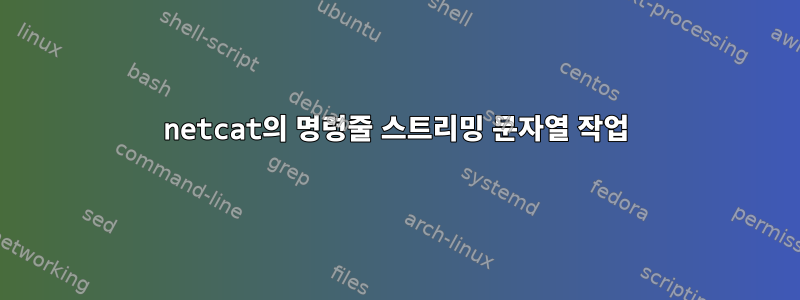 netcat의 명령줄 스트리밍 문자열 작업