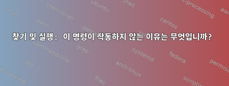 찾기 및 실행: 이 명령이 작동하지 않는 이유는 무엇입니까?