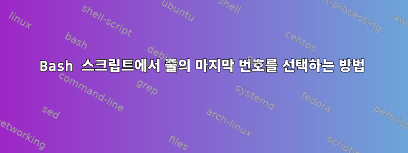 Bash 스크립트에서 줄의 마지막 번호를 선택하는 방법