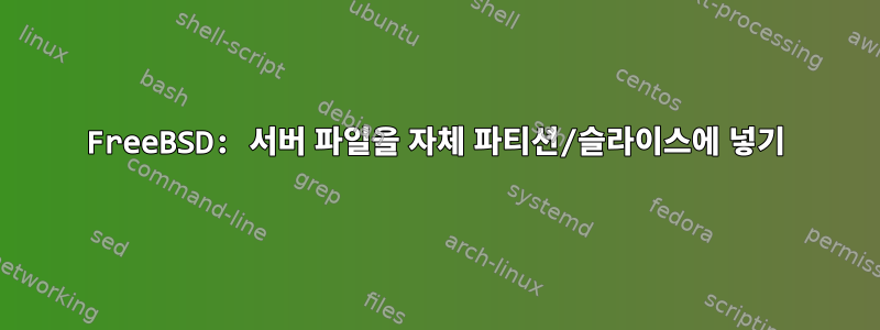 FreeBSD: 서버 파일을 자체 파티션/슬라이스에 넣기