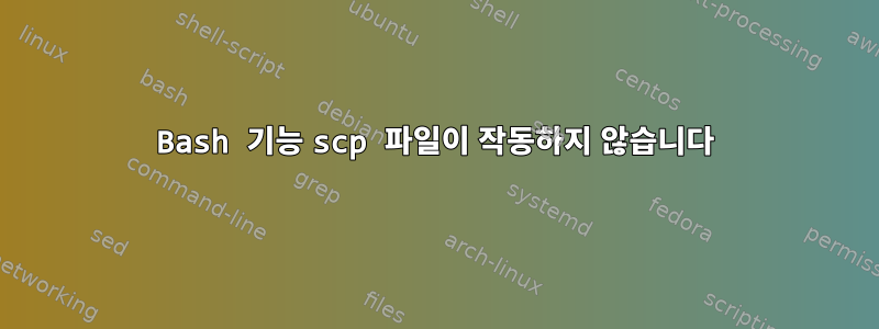 Bash 기능 scp 파일이 작동하지 않습니다