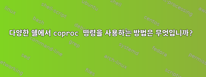 다양한 쉘에서 coproc 명령을 사용하는 방법은 무엇입니까?