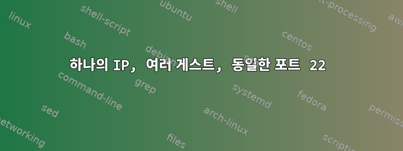 하나의 IP, 여러 게스트, 동일한 포트 22