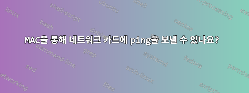 MAC을 통해 네트워크 카드에 ping을 보낼 수 있나요?