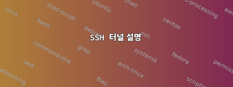 SSH 터널 설명