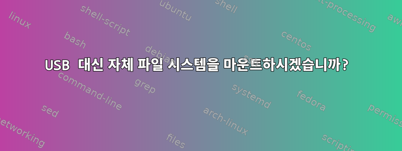 USB 대신 자체 파일 시스템을 마운트하시겠습니까?