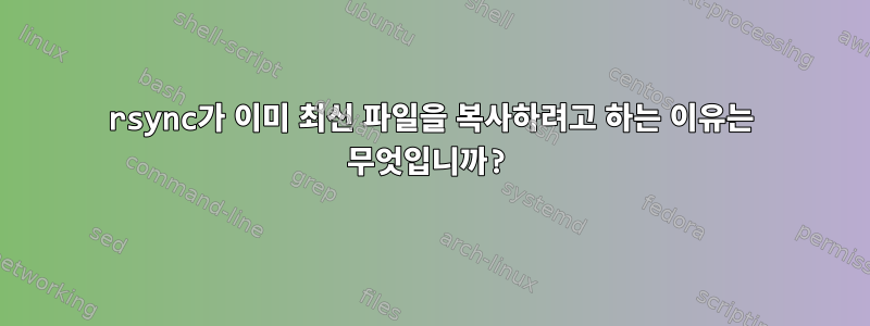 rsync가 이미 최신 파일을 복사하려고 하는 이유는 무엇입니까?