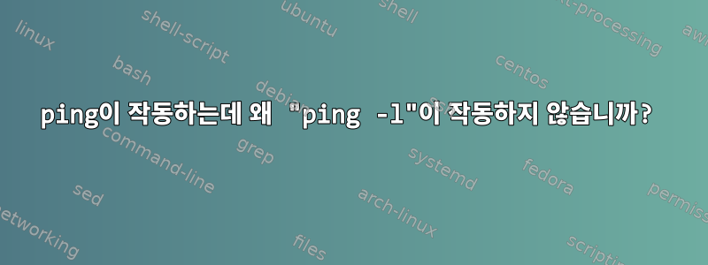 ping이 작동하는데 왜 "ping -l"이 작동하지 않습니까?