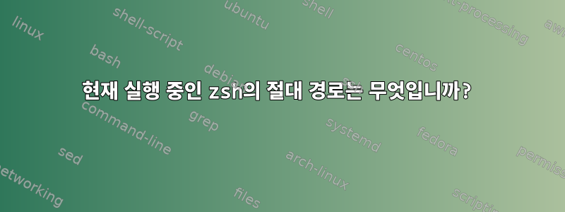 현재 실행 중인 zsh의 절대 경로는 무엇입니까?