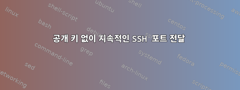 공개 키 없이 지속적인 SSH 포트 전달