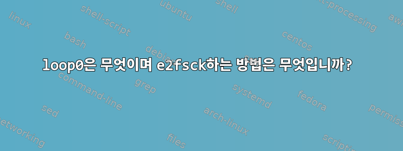 loop0은 무엇이며 e2fsck하는 방법은 무엇입니까?