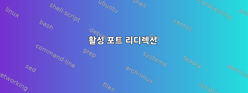 활성 포트 리디렉션