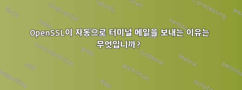 OpenSSL이 자동으로 터미널 메일을 보내는 이유는 무엇입니까?