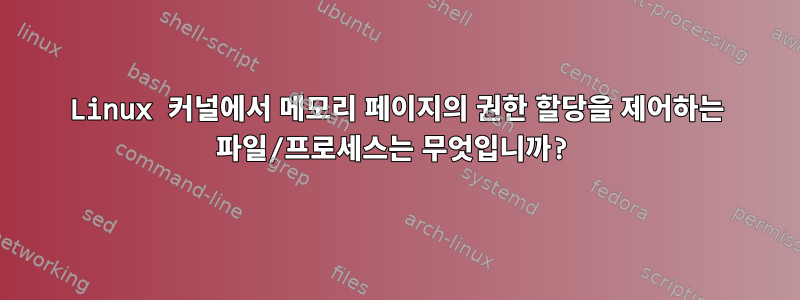 Linux 커널에서 메모리 페이지의 권한 할당을 제어하는 ​​파일/프로세스는 무엇입니까?