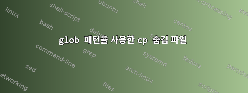 glob 패턴을 사용한 cp 숨김 파일