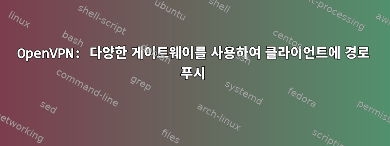 OpenVPN: 다양한 게이트웨이를 사용하여 클라이언트에 경로 푸시