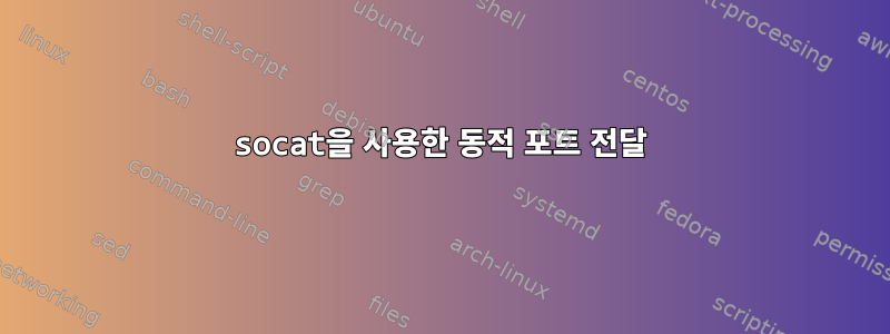 socat을 사용한 동적 포트 전달