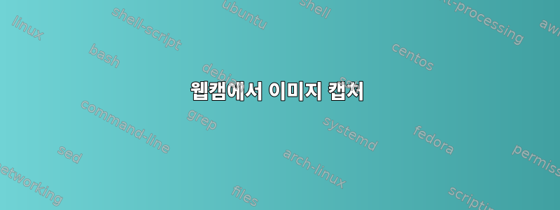 웹캠에서 이미지 캡처