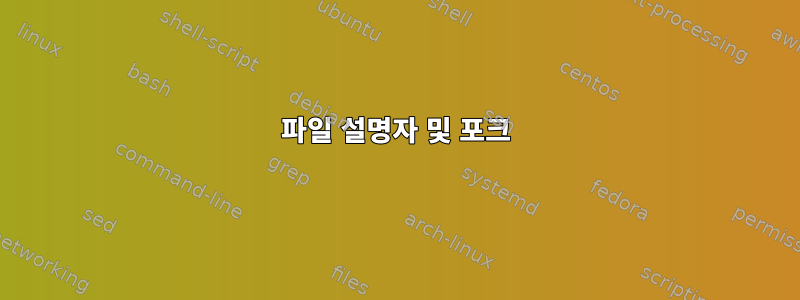 파일 설명자 및 포크