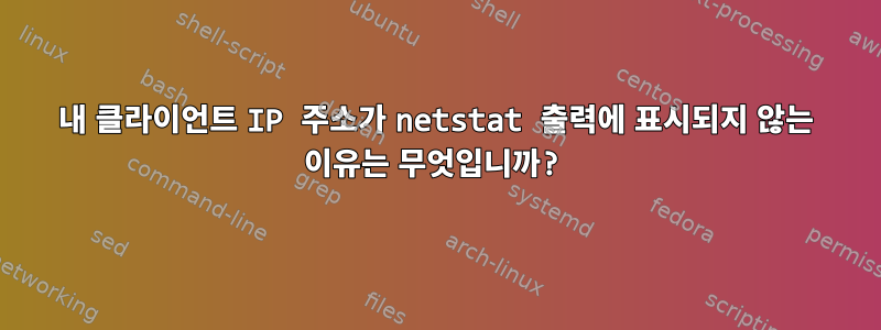 내 클라이언트 IP 주소가 netstat 출력에 표시되지 않는 이유는 무엇입니까?