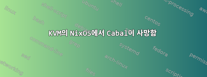 KVM의 NixOS에서 Cabal이 사망함