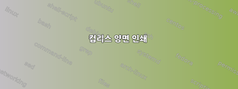 컵리스 양면 인쇄