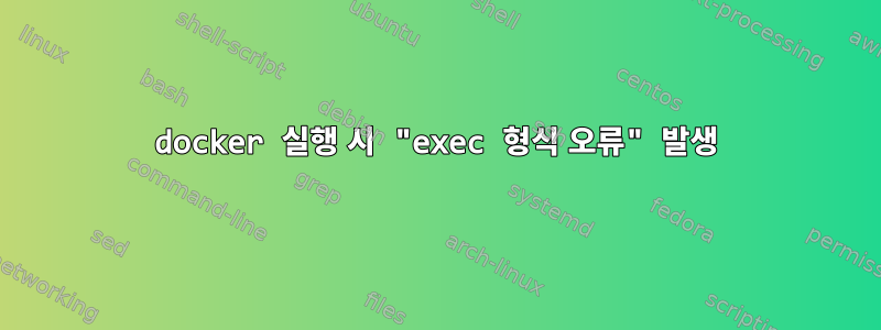 docker 실행 시 "exec 형식 오류" 발생