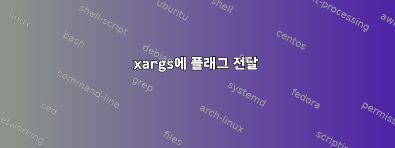 xargs에 플래그 전달