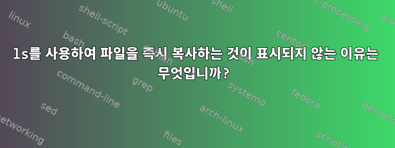 ls를 사용하여 파일을 즉시 복사하는 것이 표시되지 않는 이유는 무엇입니까?