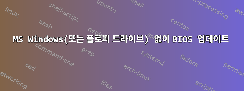 MS Windows(또는 플로피 드라이브) 없이 BIOS 업데이트